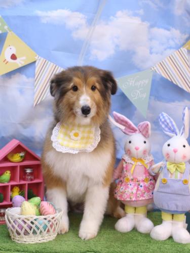 20240303リクくん